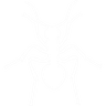 Anti-Termite